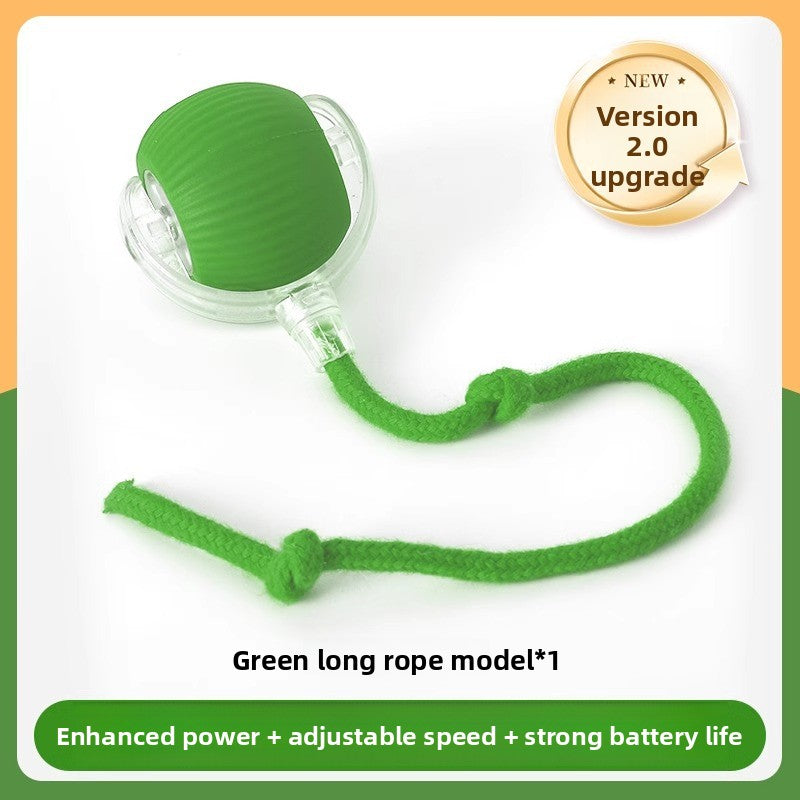 Interactive Smart Ball Toy for Dogs & Cats
