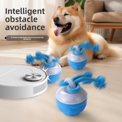Rechargeable Interactive Ball Toy for Dogs