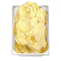 PreGel - Vanilla Mexico Superior Flavor Paste (2 x 6kg) - Canadian Distribution