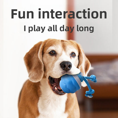 Rechargeable Interactive Ball Toy for Dogs