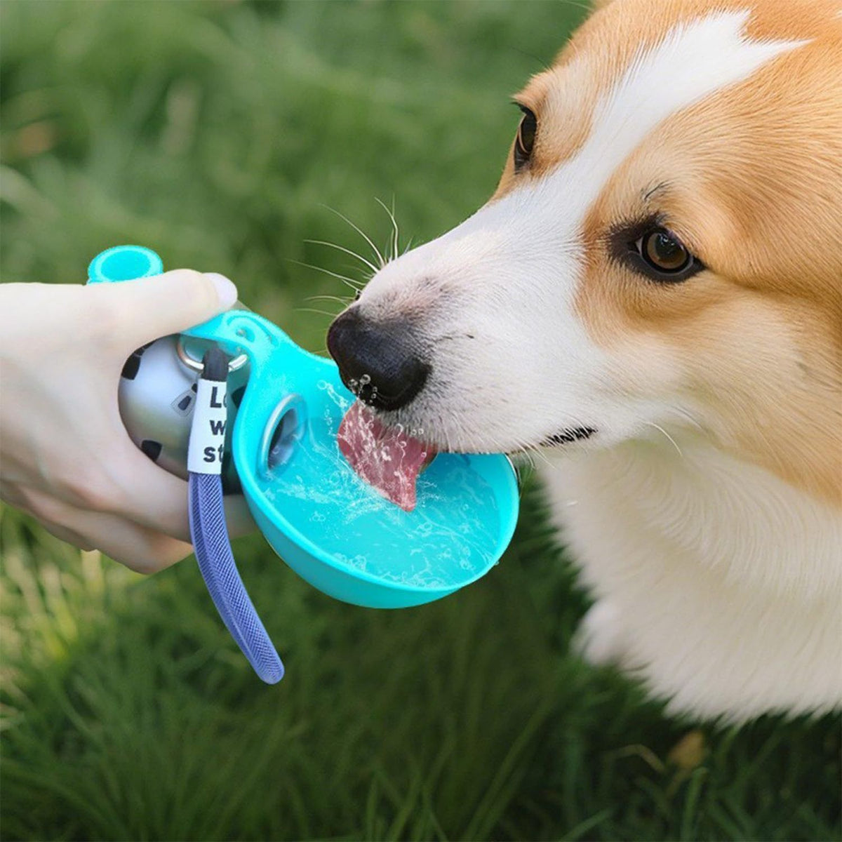 NOEILI Portable Travel Water Bottle for Dogs