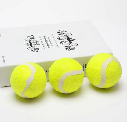 Interactive Smart Ball Toy for Dogs & Cats