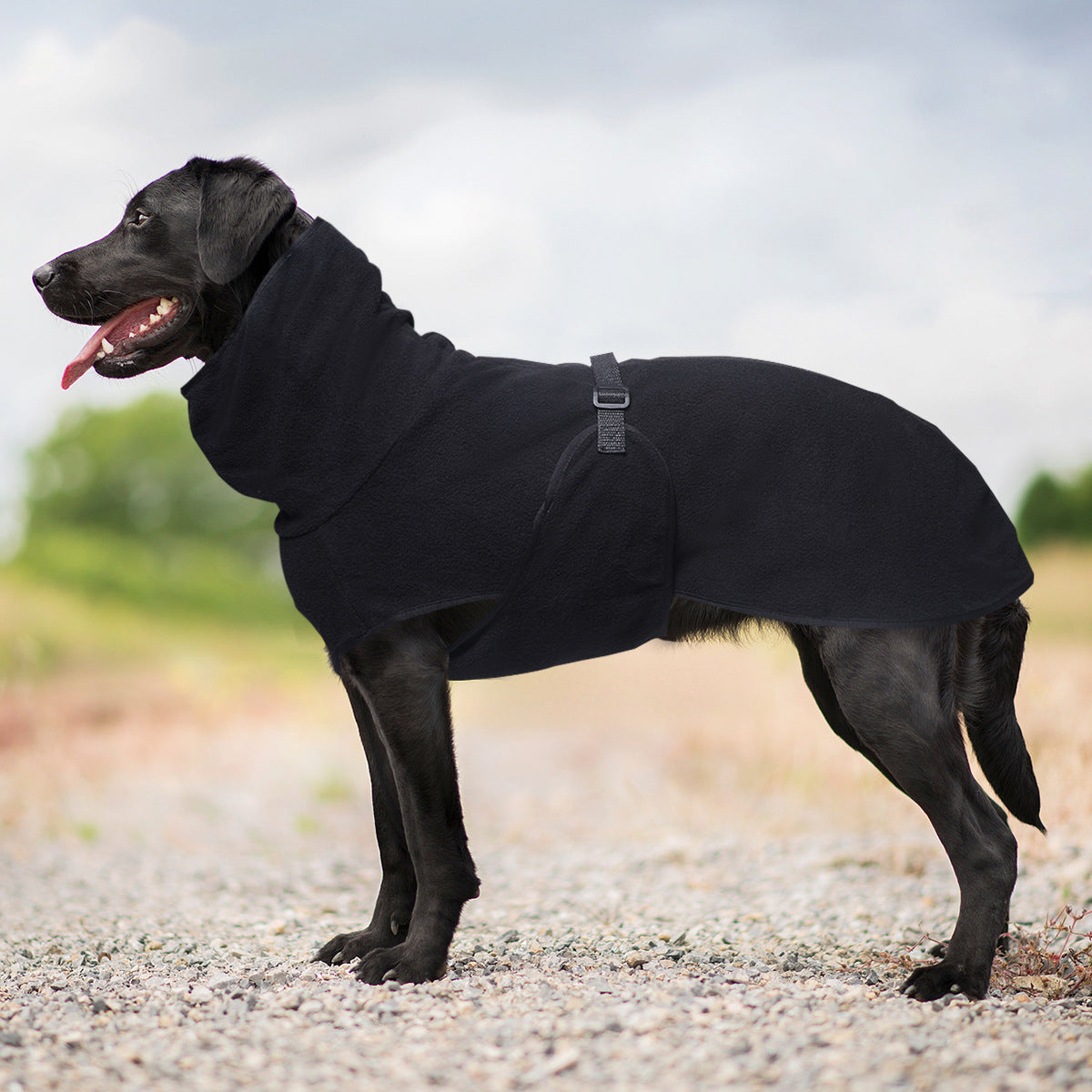 Snuggly Hooded Fleece Sweater for Dogs