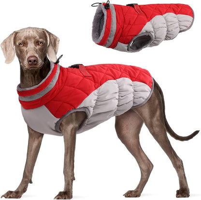 Cozy Winter Fleece-Lined Coat for Dogs