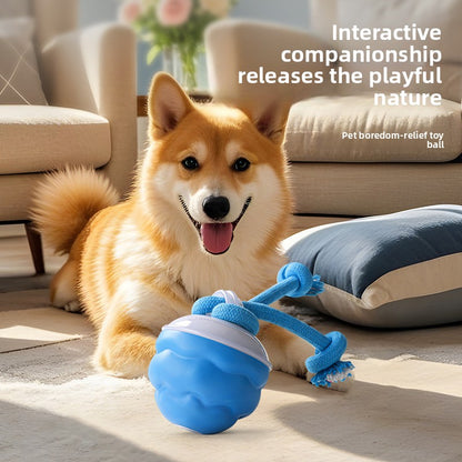 Rechargeable Interactive Ball Toy for Dogs