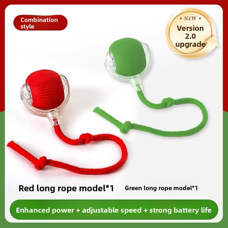 Interactive Smart Ball Toy for Dogs & Cats