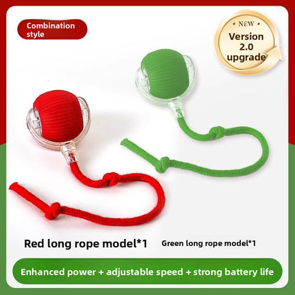 Interactive Smart Ball Toy for Dogs & Cats
