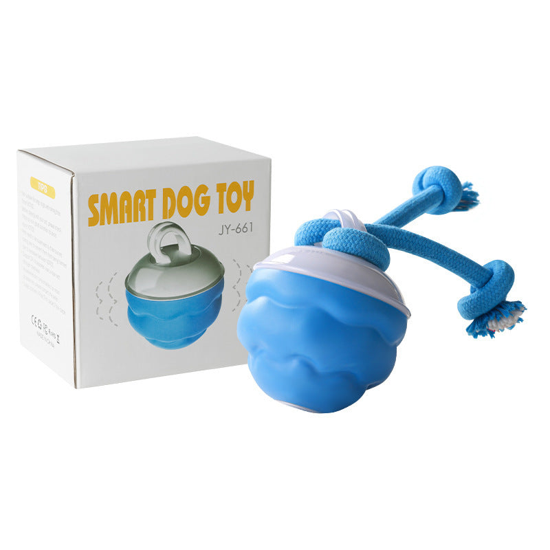 Rechargeable Interactive Ball Toy for Dogs