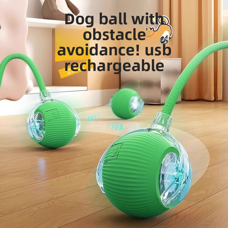 Interactive Smart Ball Toy for Dogs & Cats