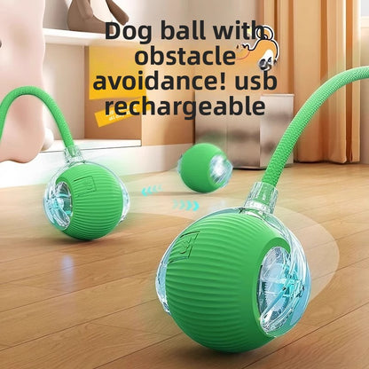 Interactive Smart Ball Toy for Dogs & Cats
