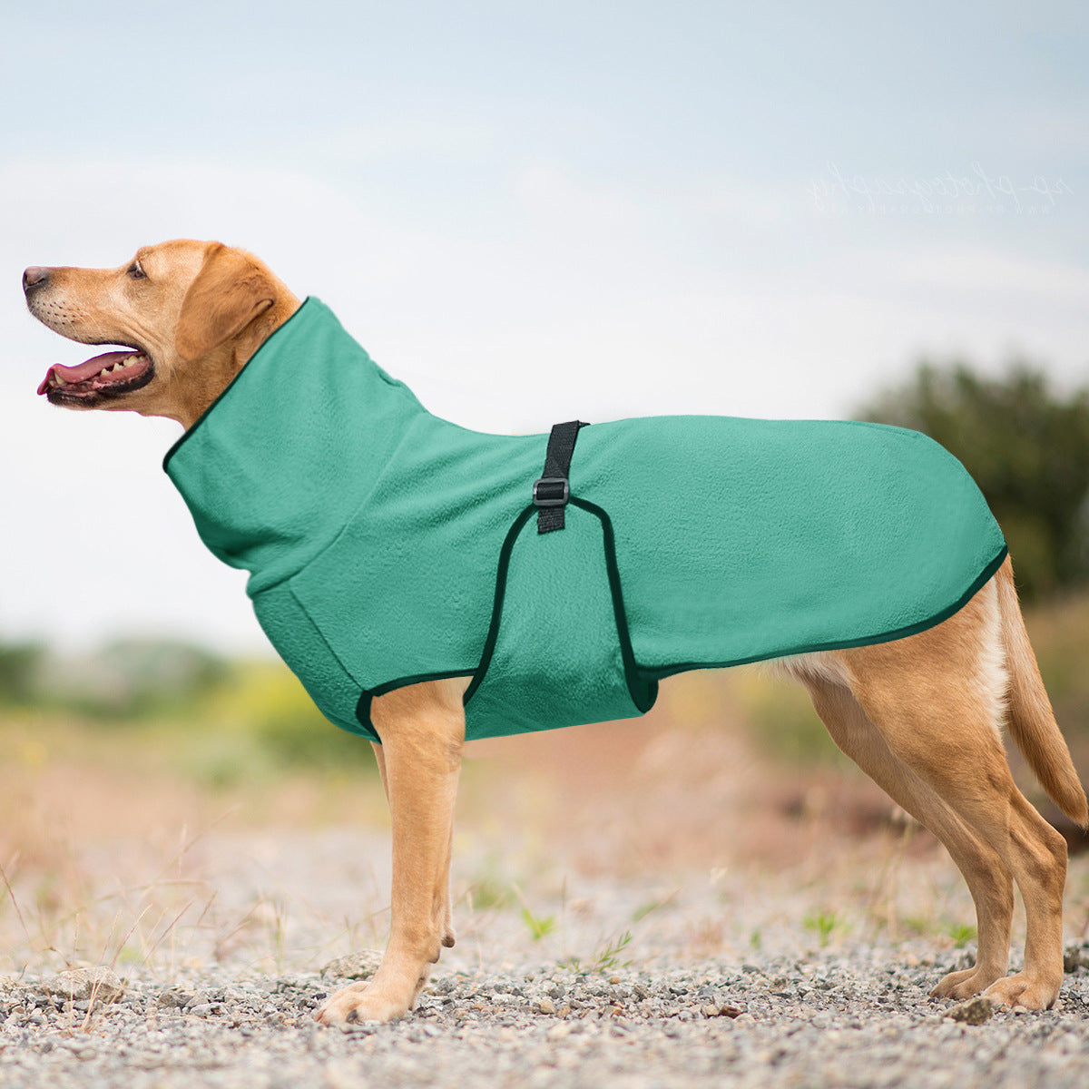 Snuggly Hooded Fleece Sweater for Dogs