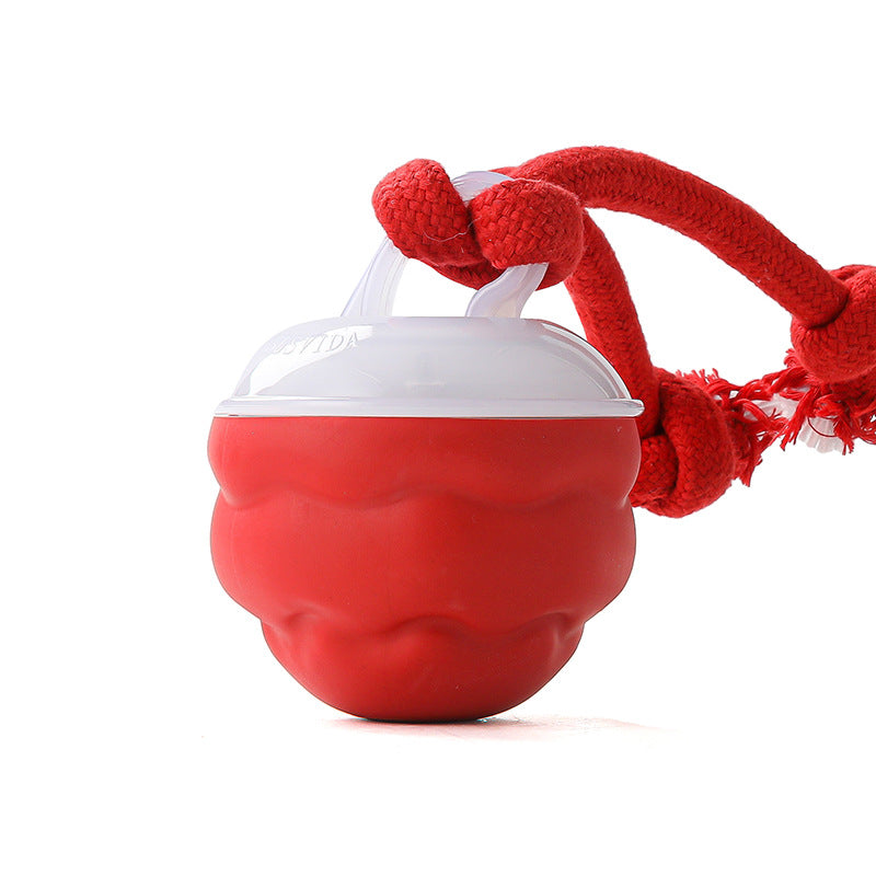 Rechargeable Interactive Ball Toy for Dogs
