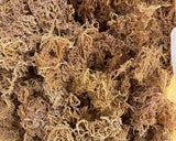 Wholesale Purple Sea Moss – 10 lb Bulk Case (B Grade)