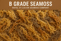 Wholesale Purple Sea Moss – 10 lb Bulk Case (B Grade)