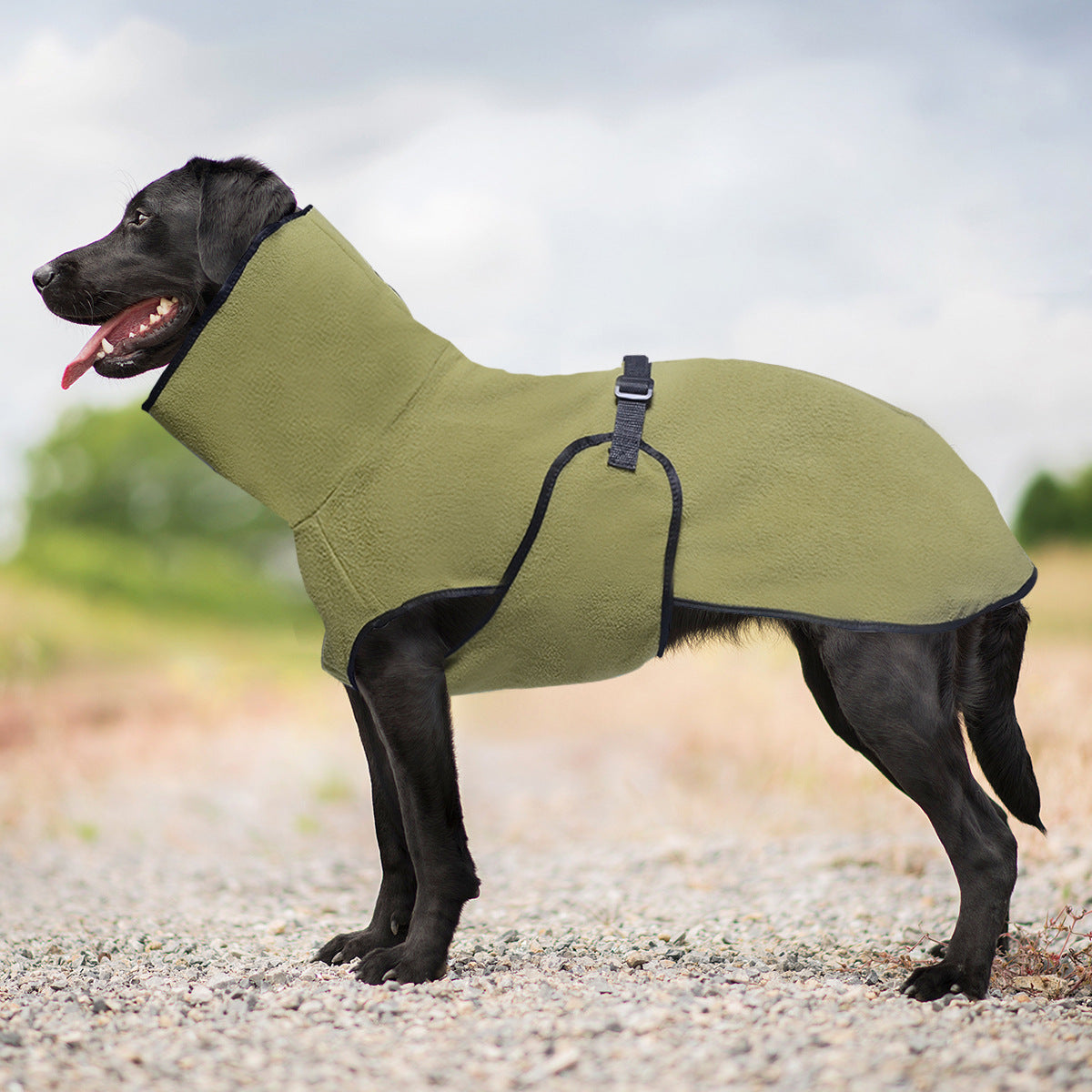 Snuggly Hooded Fleece Sweater for Dogs