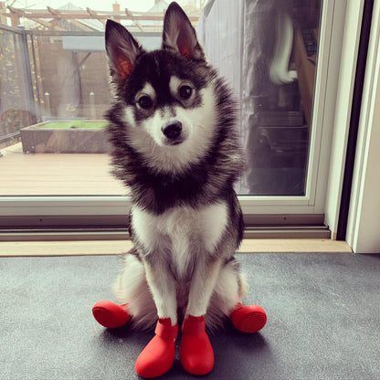 Cozy Silicone Rain Boots for Dogs