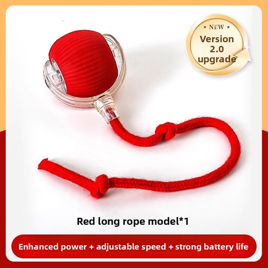 Interactive Smart Ball Toy for Dogs & Cats