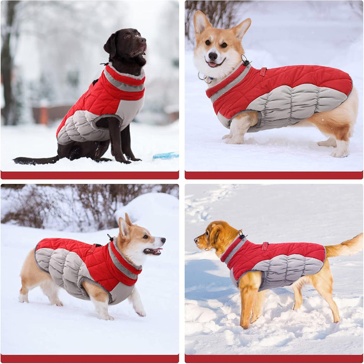 Cozy Winter Fleece-Lined Coat for Dogs
