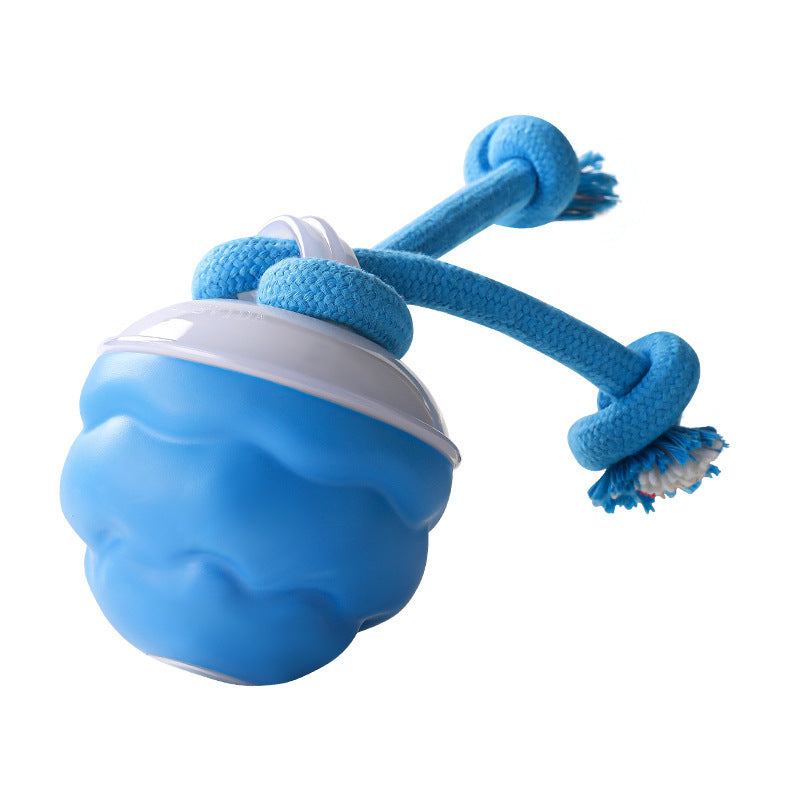 Rechargeable Interactive Ball Toy for Dogs