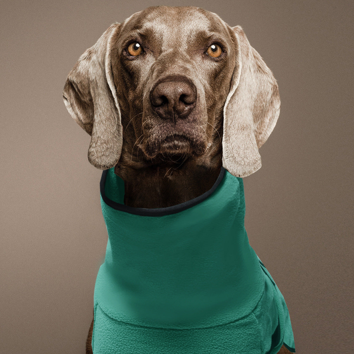 Snuggly Hooded Fleece Sweater for Dogs