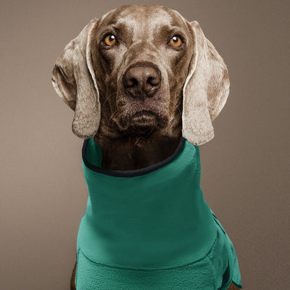 Snuggly Hooded Fleece Sweater for Dogs