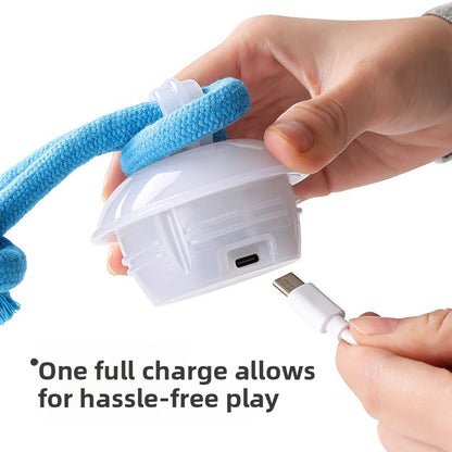 Rechargeable Interactive Ball Toy for Dogs