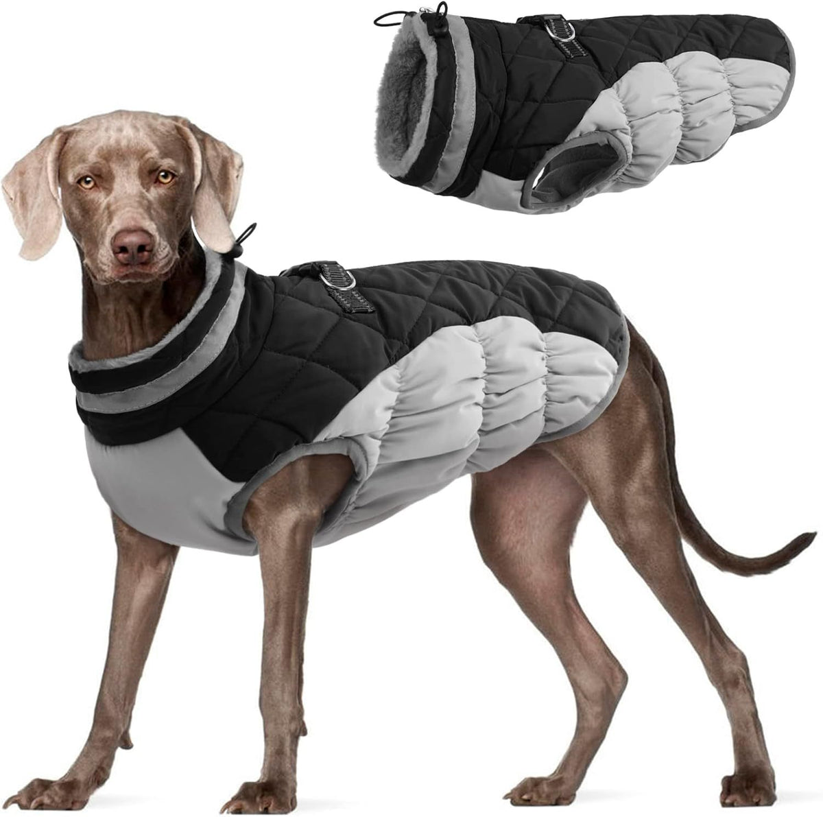 Cozy Winter Fleece-Lined Coat for Dogs